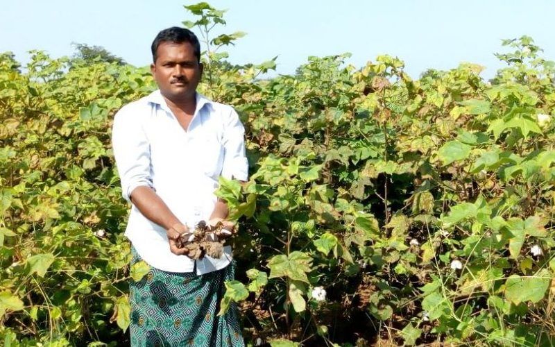 farming as a business option in India