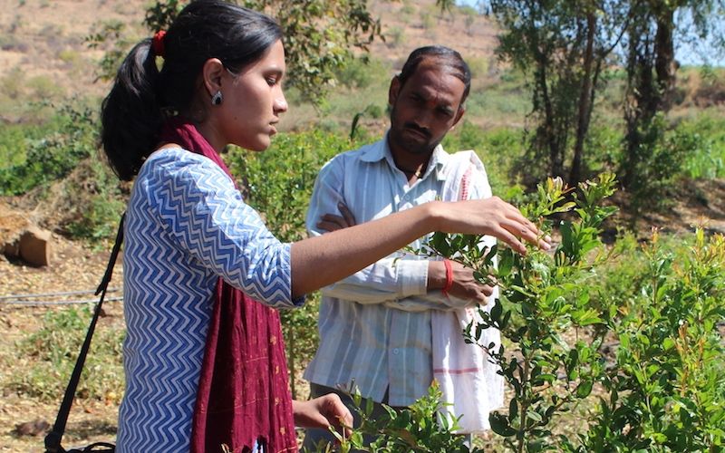 farming as a business option