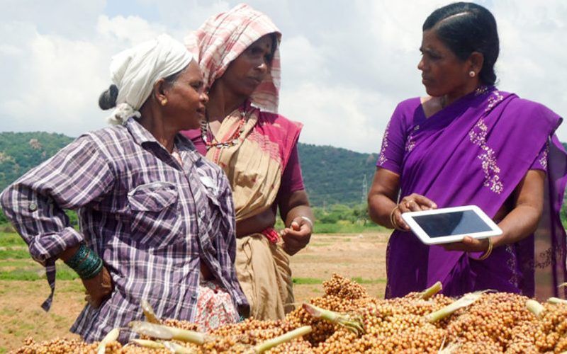 farming as a business