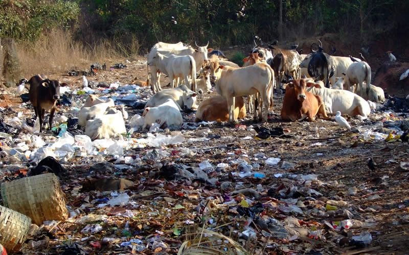 Hygiene and sanitation